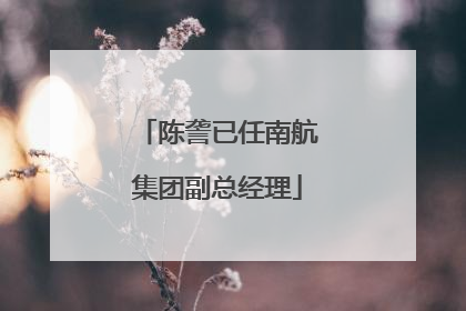陈詟已任南航集团副总经理
