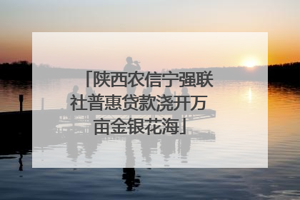 陕西农信宁强联社普惠贷款浇开万亩金银花海