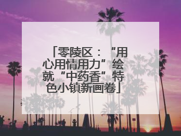 零陵区：“用心用情用力”绘就“中药香”特色小镇新画卷