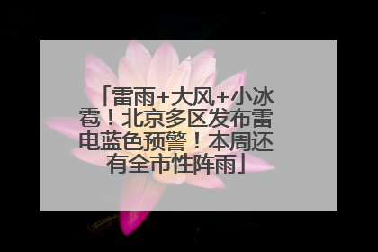 雷雨+大风+小冰雹！北京多区发布雷电蓝色预警！本周还有全市性阵雨
