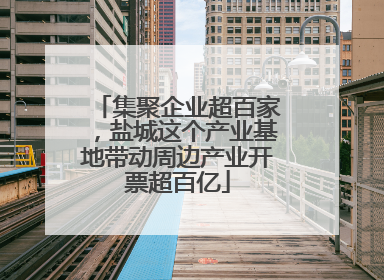 集聚企业超百家，盐城这个产业基地带动周边产业开票超百亿