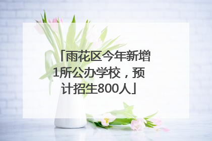 雨花区今年新增1所公办学校，预计招生800人