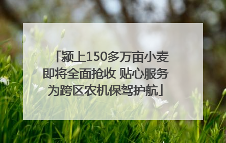 颍上150多万亩小麦即将全面抢收 贴心服务为跨区农机保驾护航