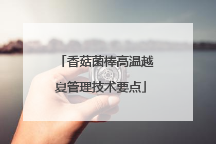 香菇菌棒高温越夏管理技术要点