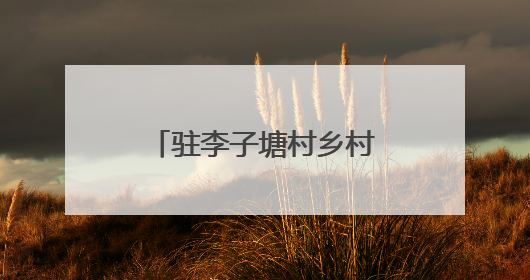 驻李子塘村乡村振兴工作队：扎根热土践初心 绘就振兴新画卷