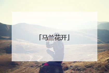 马兰花开