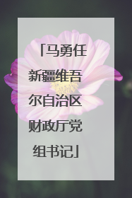 马勇任新疆维吾尔自治区财政厅党组书记