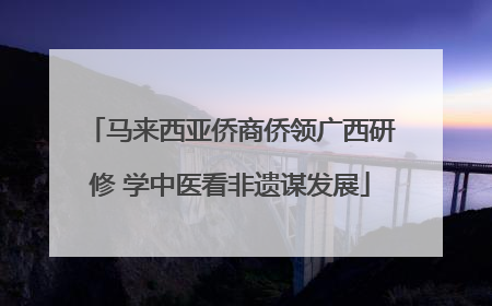 马来西亚侨商侨领广西研修 学中医看非遗谋发展