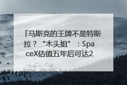 马斯克的王牌不是特斯拉？“木头姐”：SpaceX估值五年后可达2.5万亿美元！
