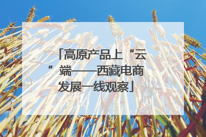 高原产品上“云”端——西藏电商发展一线观察