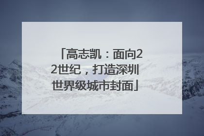 高志凯：面向22世纪，打造深圳世界级城市封面
