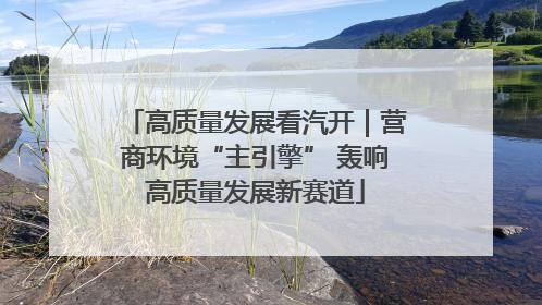 高质量发展看汽开｜营商环境“主引擎” 轰响高质量发展新赛道