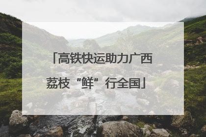 高铁快运助力广西荔枝“鲜”行全国