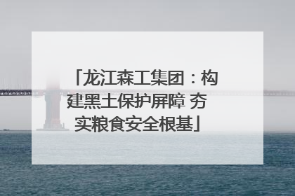 龙江森工集团：构建黑土保护屏障 夯实粮食安全根基