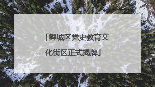鲤城区党史教育文化街区正式揭牌