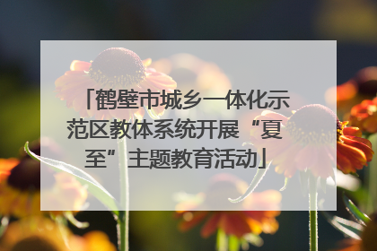 鹤壁市城乡一体化示范区教体系统开展“夏至”主题教育活动