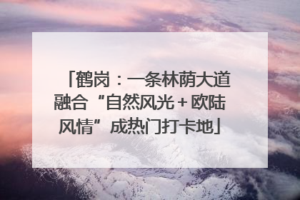 鹤岗：一条林荫大道融合“自然风光＋欧陆风情”成热门打卡地