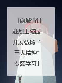 麻城审计赴烈士陵园开展弘扬“三大精神”专题学习