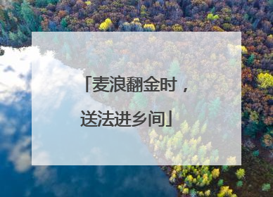 麦浪翻金时，送法进乡间
