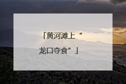 黄河滩上“龙口夺食”