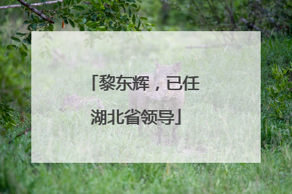 黎东辉，已任湖北省领导