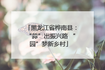 黑龙江省桦南县：“蒜”出振兴路 “园”梦新乡村
