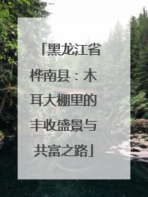 黑龙江省桦南县：木耳大棚里的丰收盛景与共富之路
