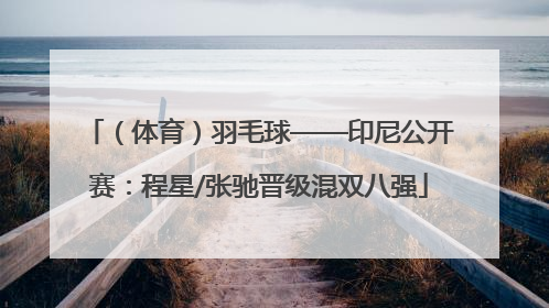 （体育）羽毛球——印尼公开赛：程星/张驰晋级混双八强