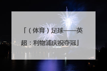 （体育）足球——英超：利物浦庆祝夺冠