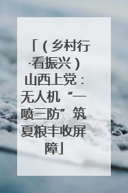 （乡村行·看振兴）山西上党：无人机“一喷三防”筑夏粮丰收屏障