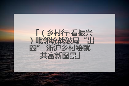 （乡村行·看振兴）毗邻统战破局“出圈” 浙沪乡村绘就共富新图景