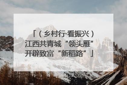 （乡村行·看振兴）江西共青城“领头雁”开辟致富“新稻路”