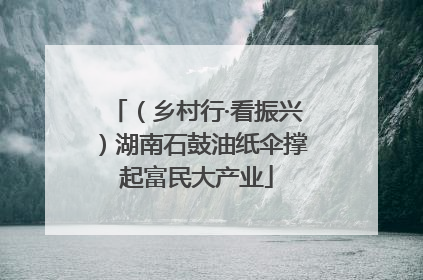 （乡村行·看振兴）湖南石鼓油纸伞撑起富民大产业