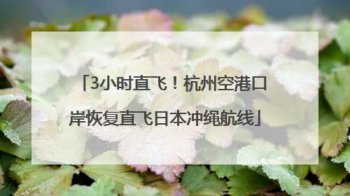 3小时直飞！杭州空港口岸恢复直飞日本冲绳航线