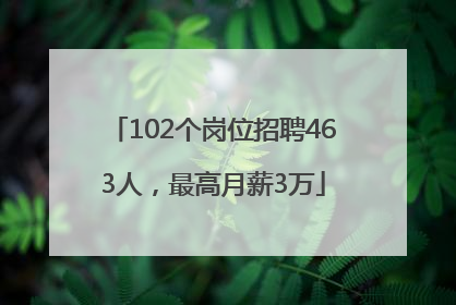 102个岗位招聘463人，最高月薪3万