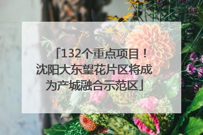 132个重点项目！沈阳大东望花片区将成为产城融合示范区