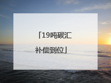19吨碳汇补偿到位