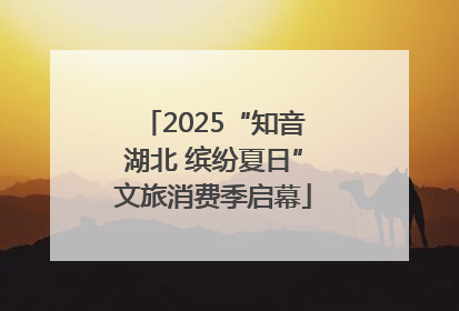 2025“知音湖北 缤纷夏日”文旅消费季启幕