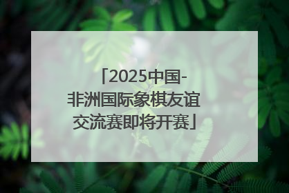 2025中国-非洲国际象棋友谊交流赛即将开赛