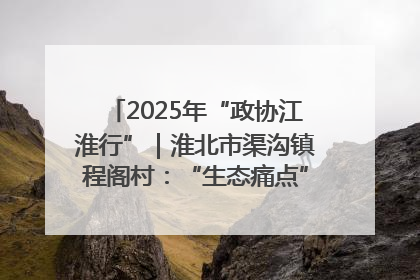 2025年“政协江淮行”｜淮北市渠沟镇程阁村：“生态痛点”变“生态景观”