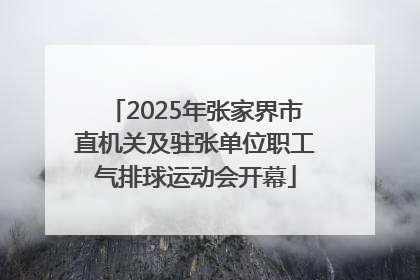 2025年张家界市直机关及驻张单位职工气排球运动会开幕