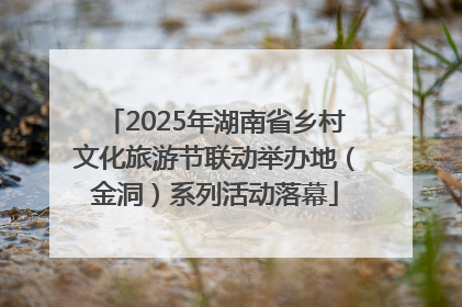2025年湖南省乡村文化旅游节联动举办地（金洞）系列活动落幕