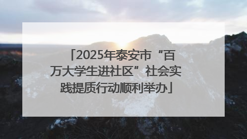 2025年泰安市“百万大学生进社区”社会实践提质行动顺利举办
