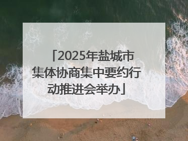 2025年盐城市集体协商集中要约行动推进会举办