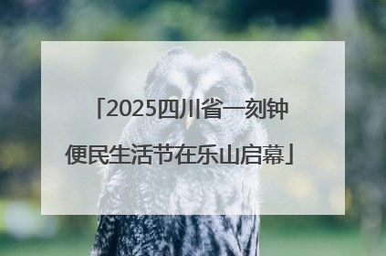 2025四川省一刻钟便民生活节在乐山启幕
