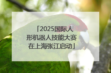 2025国际人形机器人技能大赛在上海张江启动