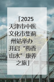 2025天津市中医文化市集蓟州站举办 开启“药香山水”康养之旅