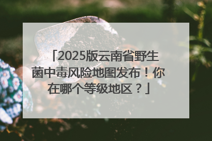 2025版云南省野生菌中毒风险地图发布！你在哪个等级地区？