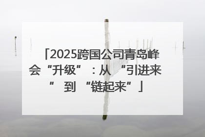 2025跨国公司青岛峰会“升级”：从 “引进来” 到 “链起来”