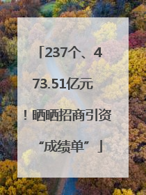 237个、473.51亿元！晒晒招商引资“成绩单”